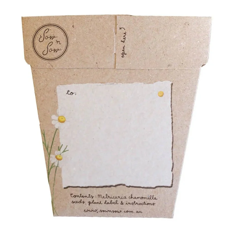 Chamomile Gift of Seeds Packet by Sow n' Sow - Image 2