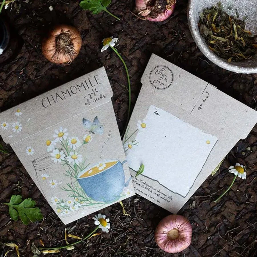 Chamomile Gift of Seeds Packet by Sow n' Sow - Image 3