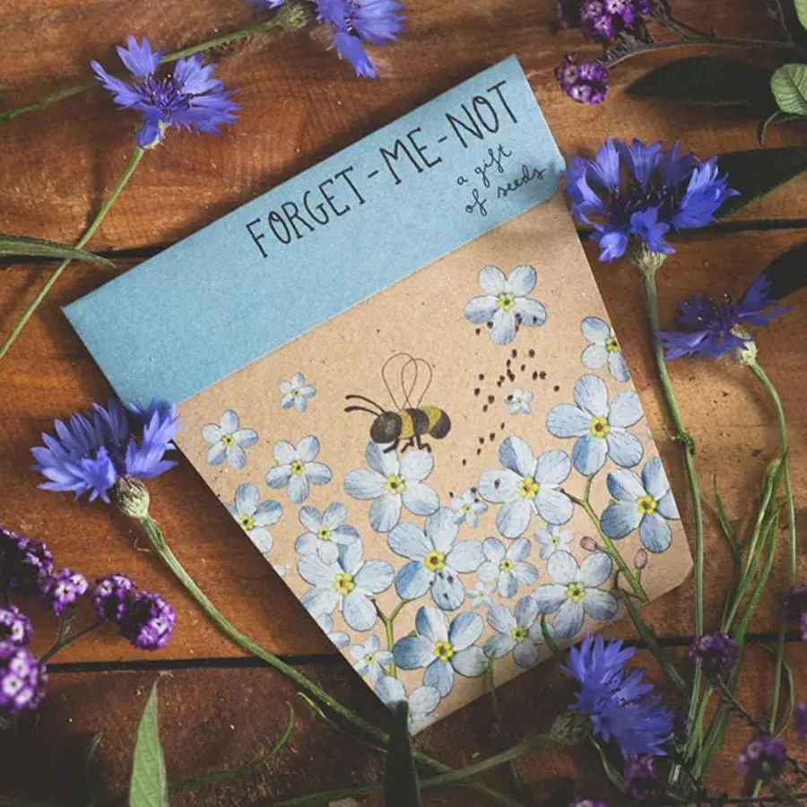 Forget-me-not Gift of Seeds Packet by Sow n' Sow - Image 4