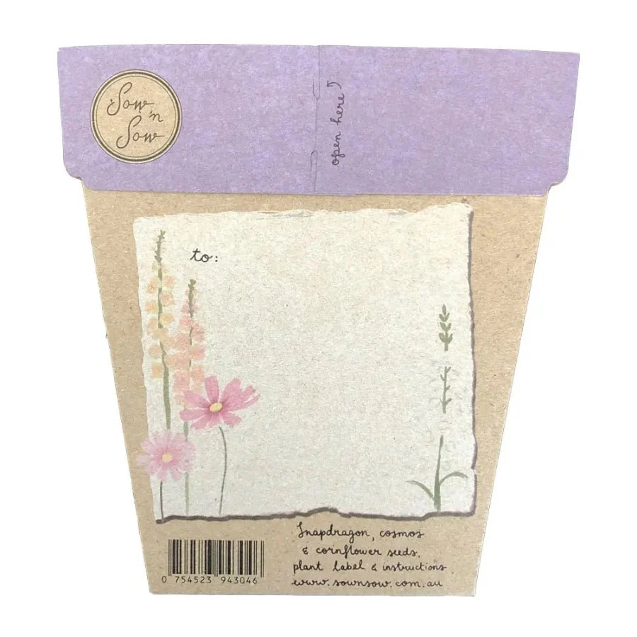 Happy Birthday Picnic Gift of Seeds Packet by Sow n' Sow - Image 2