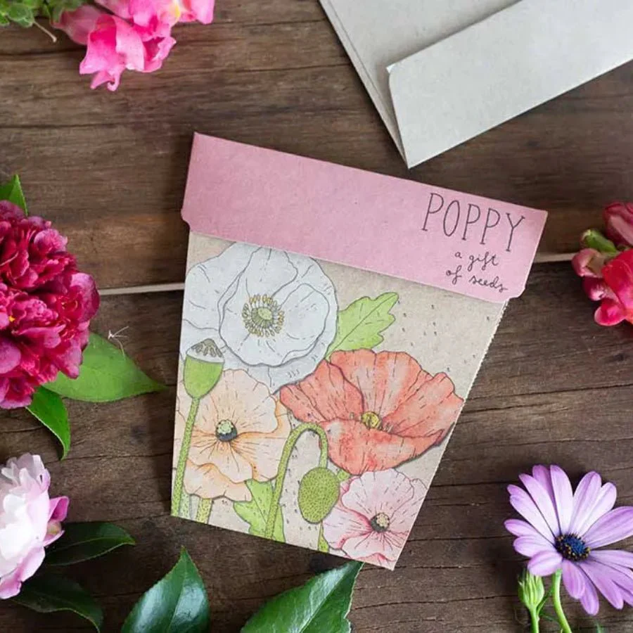 Poppy Gift of Seeds Packet by Sow n' Sow - Image 5