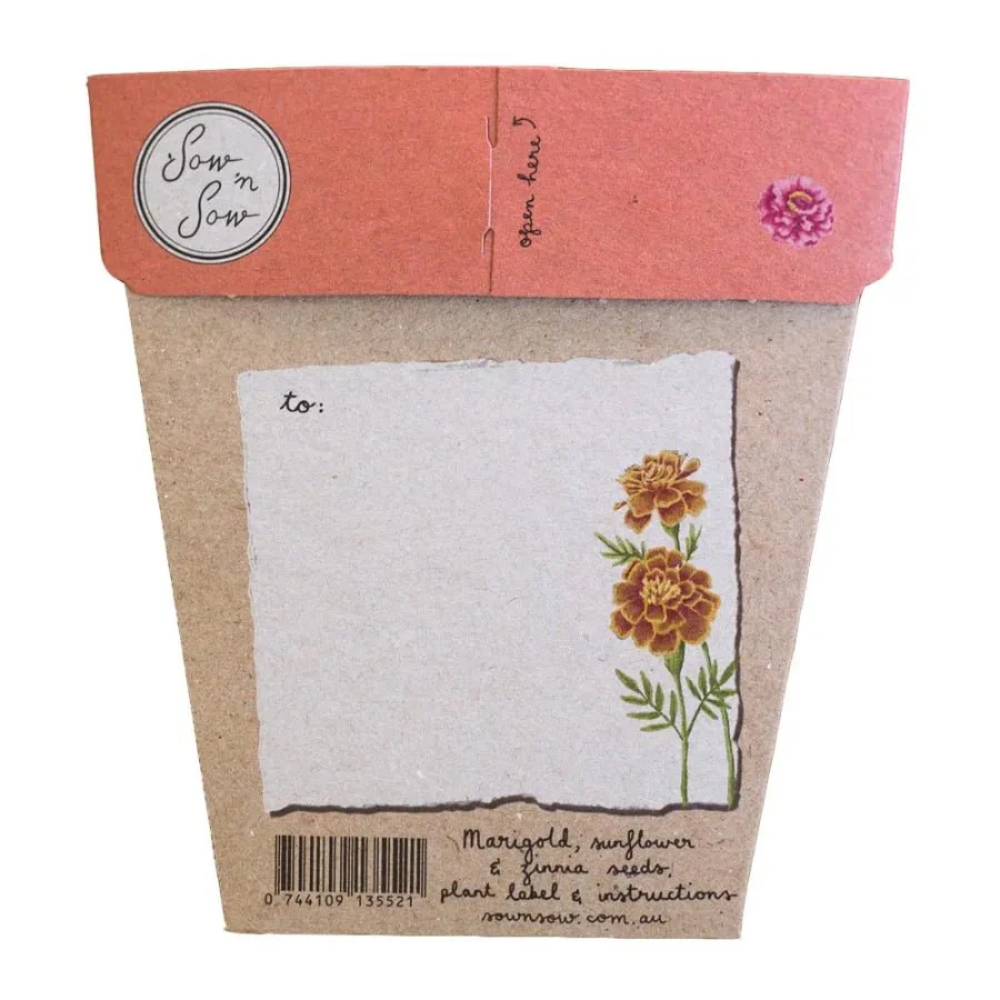 Secret Garden Gift of Seeds Packet by Sow n' Sow - Image 2