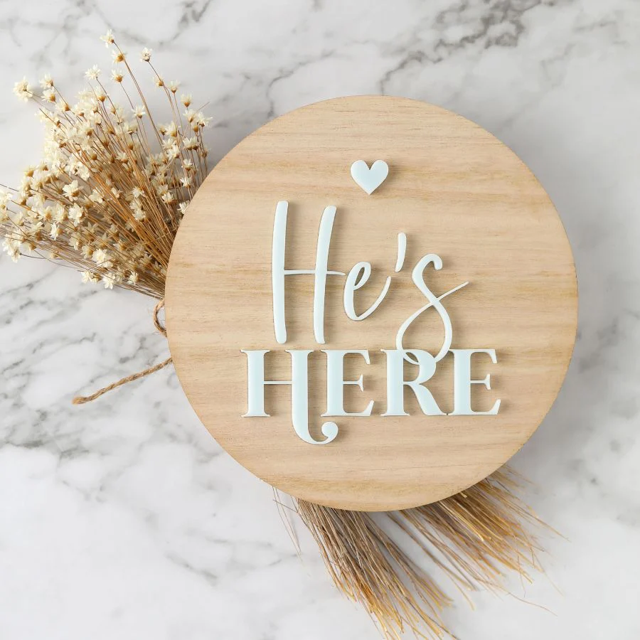She's Here/He's Here Birth Announcement Disc - Pastel