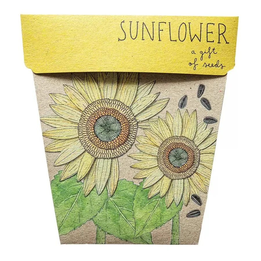 Sunflower Gift of Seeds Packet by Sow n' Sow
