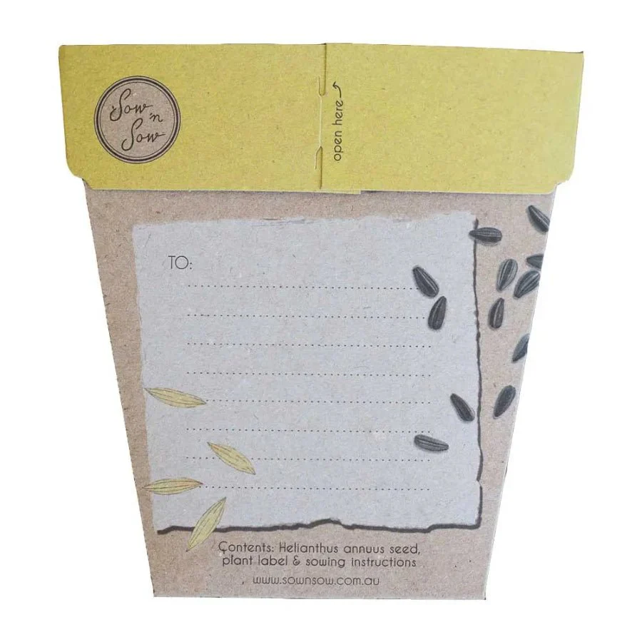 Sunflower Gift of Seeds Packet by Sow n' Sow - Image 2
