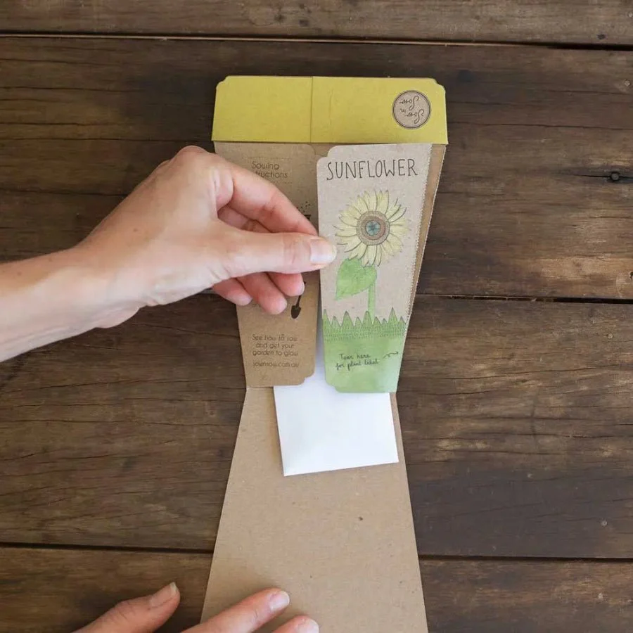 Sunflower Gift of Seeds Packet by Sow n' Sow - Image 3