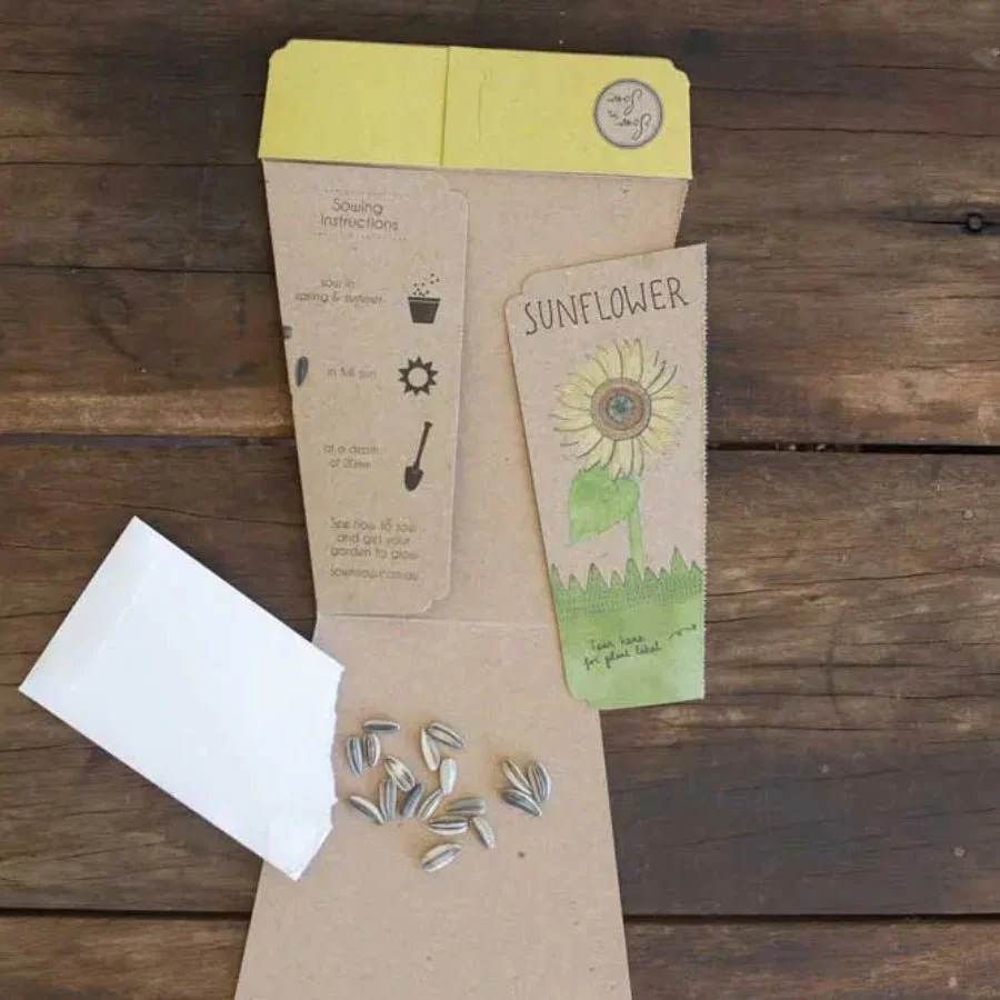 Sunflower Gift of Seeds Packet by Sow n' Sow - Image 4