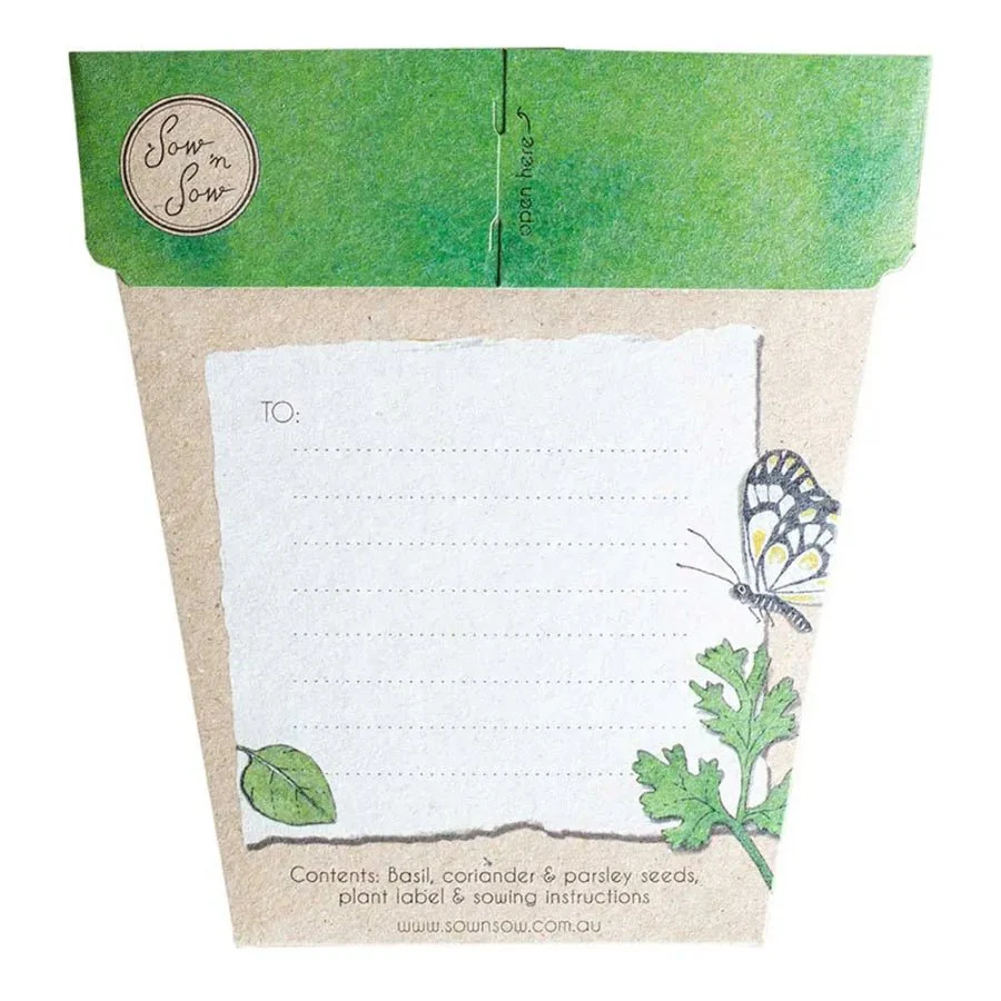 Trio of Herbs Gift of Seeds Packet by Sow n' Sow - Image 2