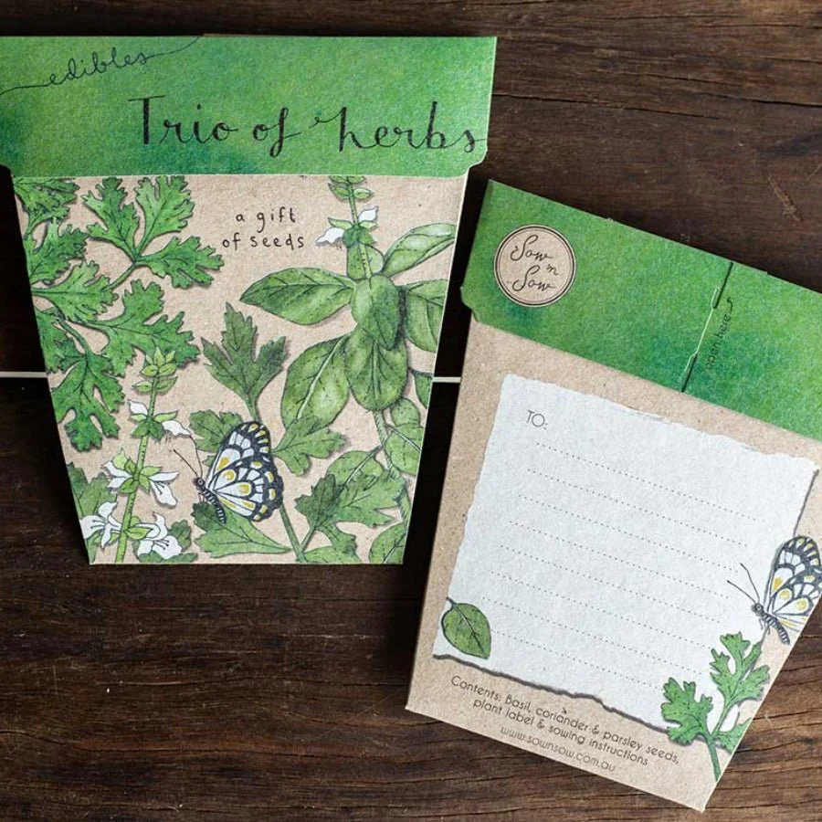Trio of Herbs Gift of Seeds Packet by Sow n' Sow - Image 3
