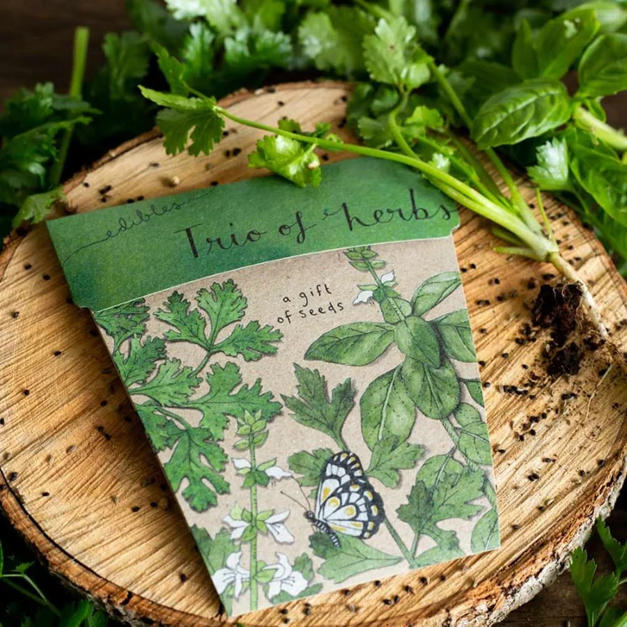 Trio of Herbs Gift of Seeds Packet by Sow n' Sow - Image 4
